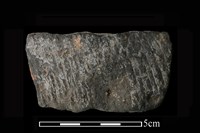 藏品(陶片)的圖片